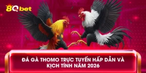 Đá Gà Thomo Trực Tuyến Hấp Dẫn Và Kịch Tính Năm 2026