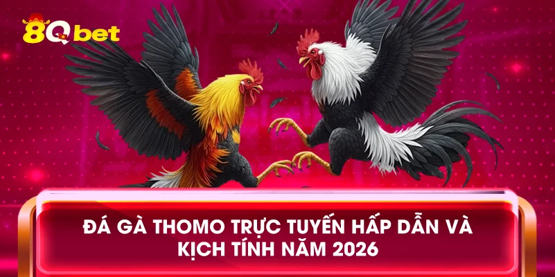 Đá Gà Thomo Trực Tuyến Hấp Dẫn Và Kịch Tính Năm 2026