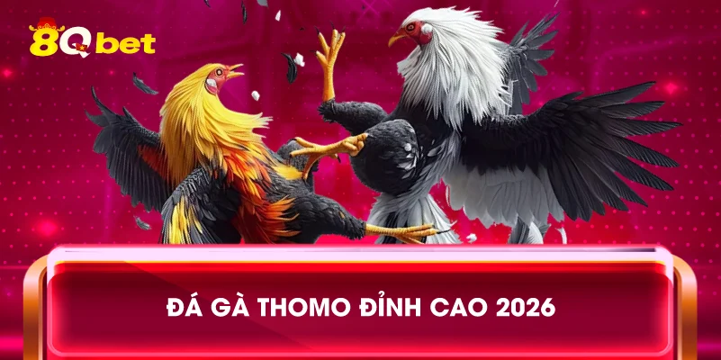 Đá gà Thomo đỉnh cao 2026