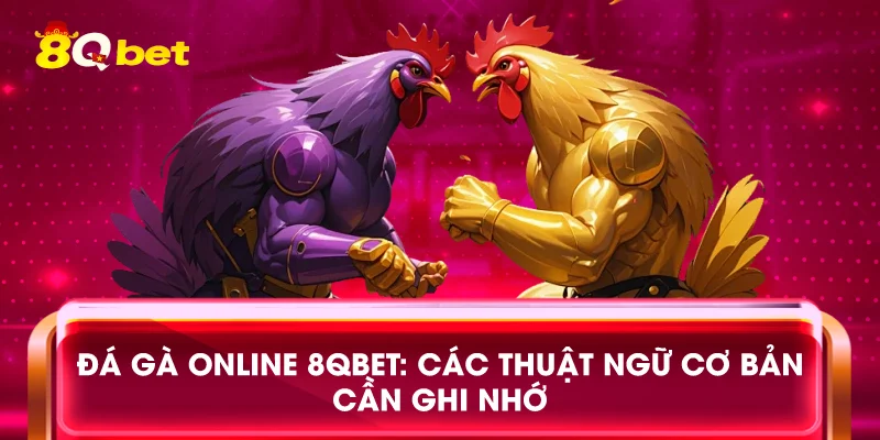 Đá gà online 8qbet: Các thuật ngữ cơ bản cần ghi nhớ