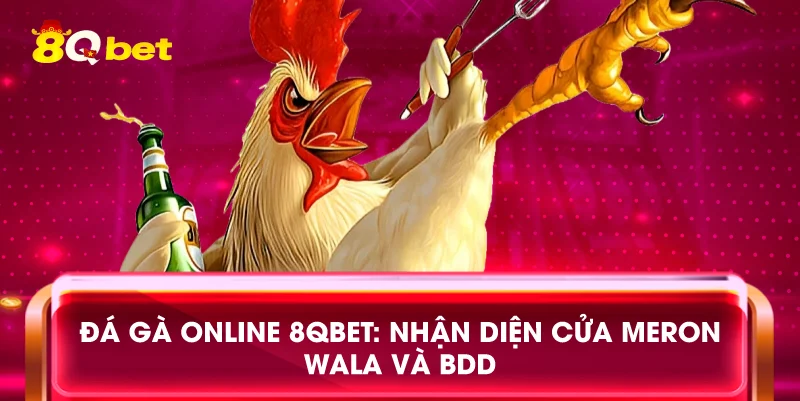 Đá gà online 8qbet: Nhận diện cửa Meron Wala và BDD