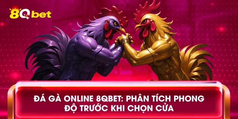 Đá gà online 8qbet: Phân tích phong độ trước khi chọn cửa