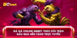 Đá gà online 8qbet: Theo dõi trận đấu qua nền tảng trực tuyến
