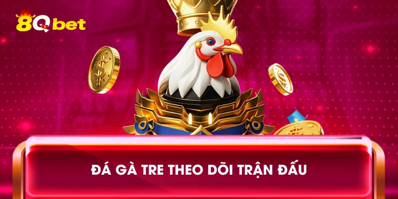 Đá gà tre theo dõi trận đấu