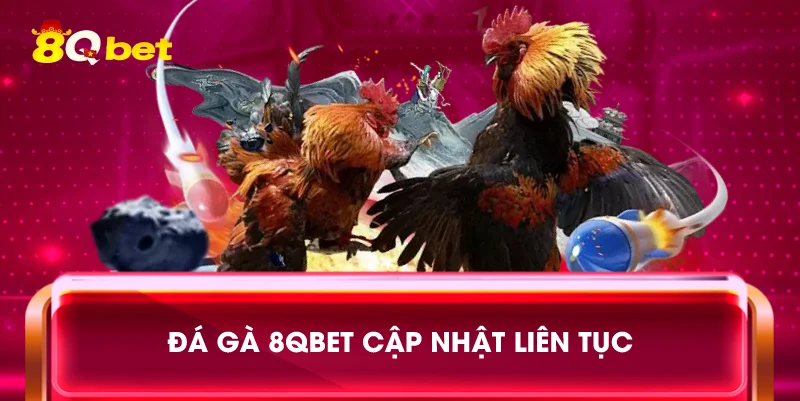 Đá gà 8qbet cập nhật liên tục
