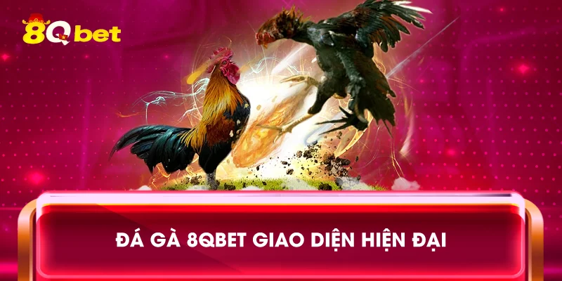 Đá gà 8qbet giao diện hiện đại